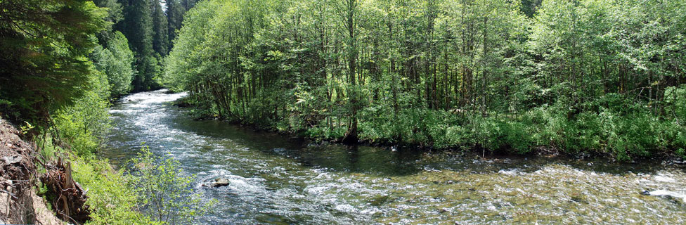 North Santiam River, Willamette National Forest, Oregon