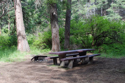 Pioneer Ford Campground, Deschutes National Forest, Oregon