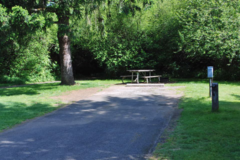 Silver Falls State Park Campground,  Oregon