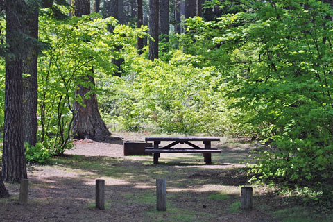 Blue Bay Campground, Suttle Lake, Deschutes National Forest, Oregon