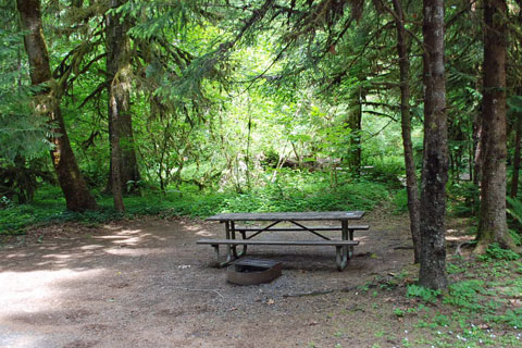 Cascadia State Park Campground, Linn County, Oregon