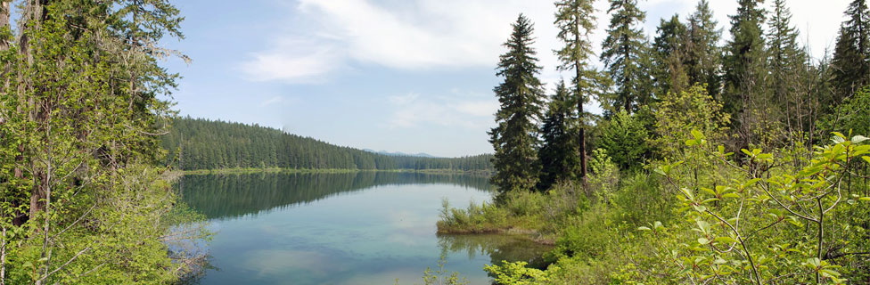 Clear Lake, Willamette National Forest, Oregon