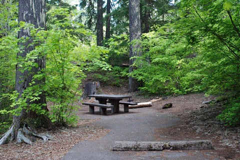 Cold Water Cove Campground, Willamette National Forest, Oregon