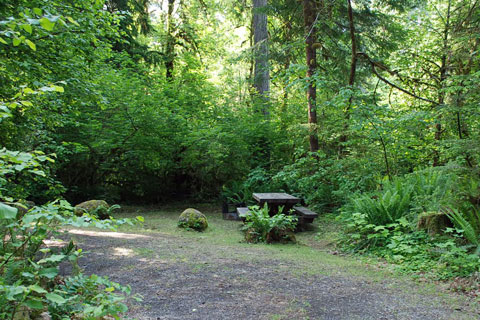 Delta Campground, Willamette National Forest, Oregon