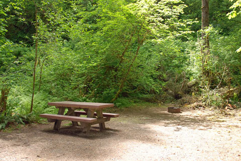 Fernview Group Campground, Willamette National Forest, Oregon