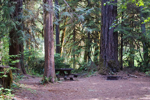 Horse Creek Group Campground, Wisllamette National Forest, Oregon