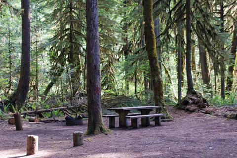 Horse Creek Group Campground, Wisllamette National Forest, Oregon