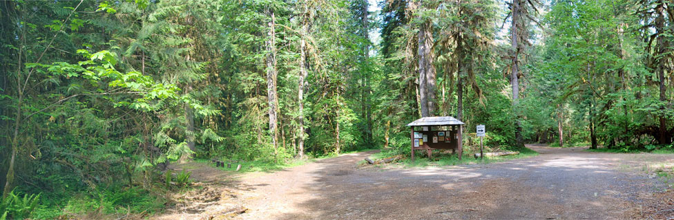 Horse Creek campground, Willamette National Forest, Oregon
