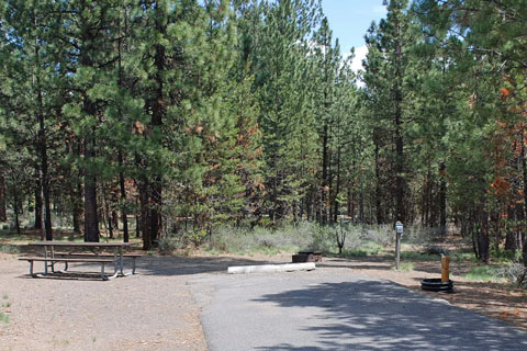 LaPine State Patrk Campground, Deschutes County, Oregon