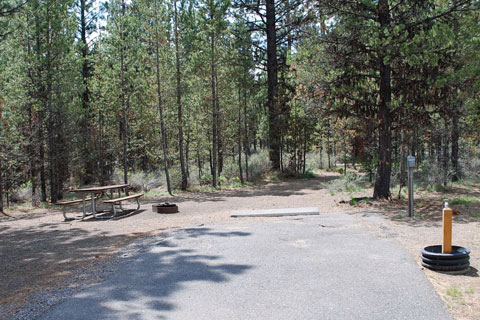 Lapine Sp Campground 2 