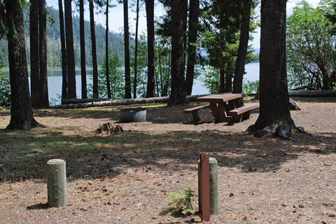 Link Creek Campground, Suttle Lake, Deschutes National Forest, Oregon