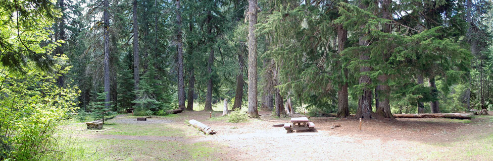 Lost Prairie Group Campground, Willamette National Forest, Oregon