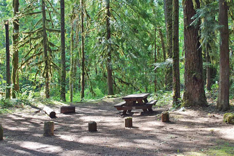 McKenzie Bridge Campground, Willamette National Forest, Oregon