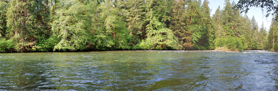 McKenzie River, Willamette National Forest, Oregon