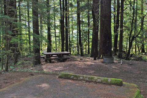 Mona Campground, Willamette National Forest, Oregon