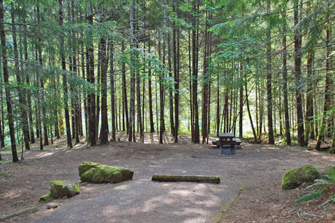 Mona Campground, Willamette National Forest, Oregon