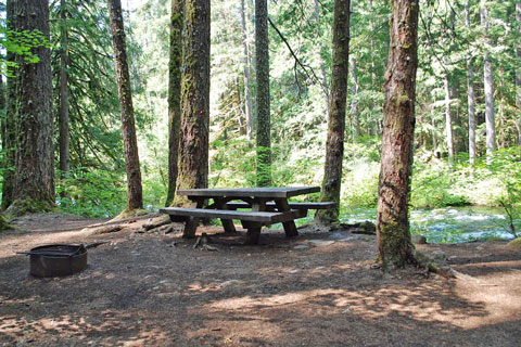 Olallie Campground, Willamette National Forest, Oregon