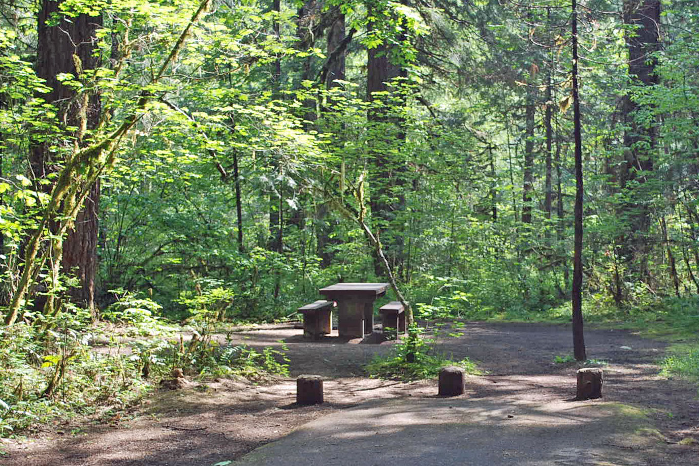 Paradise Campground, Willameette National Forest, Oregon