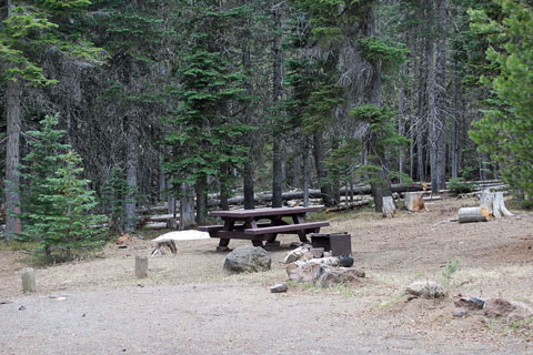 Point Campground, Deschutes National Forest, Oregon