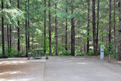 River Bend County Park Campground, Linn County, Oregon