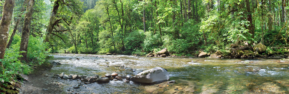 South Santiam River, Willamette National Forest, Oregon