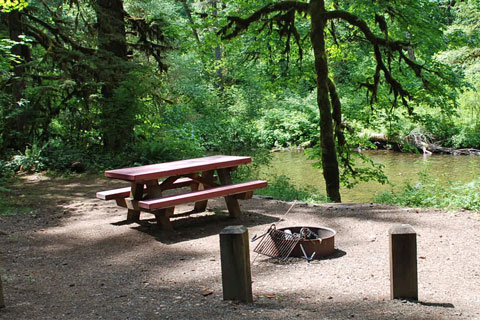 Trout Creek Campground, Willamette National Forest, Oregon
