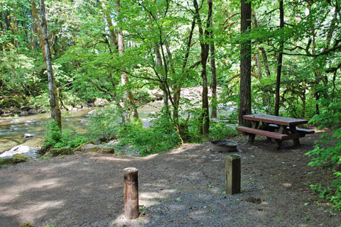 Trout Creek Campground, Willamette National Forest, Oregon