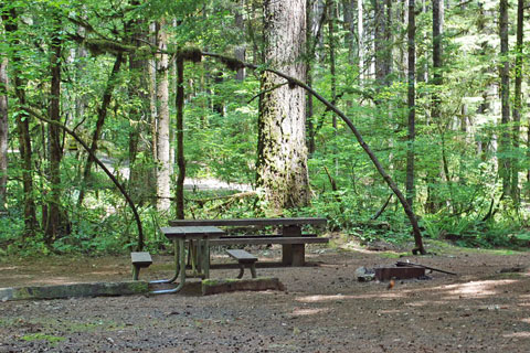 Whitcomb Creek County Park Campground, Linn County, Oregon