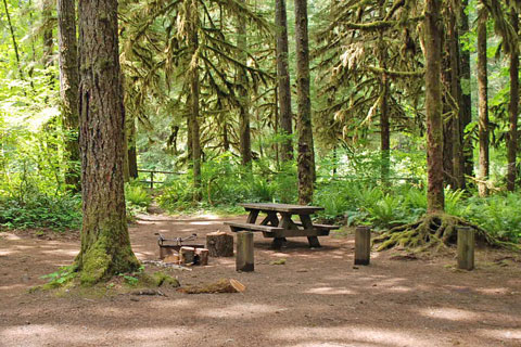 Yukwah Campground, Willamette National Forest, Oregon