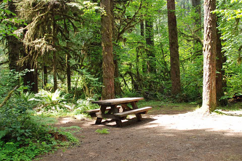 Yukwah Campground, Willamette National Forest, Oregon