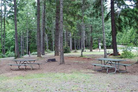 Chief Miwaleta County Park Campground