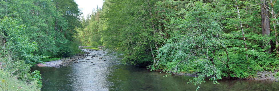 Salmon River at Green Canyon Campground,  Mt. Hood National Forest,  Oregon