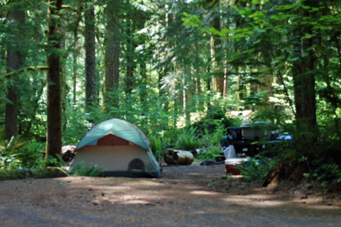 Indian Henry Campground, Mount Hood National Forest, Oregon