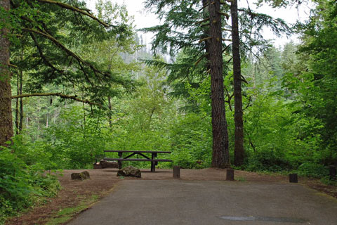 Lazy Bend Campground, Mt. Hood National Forest, Oregon