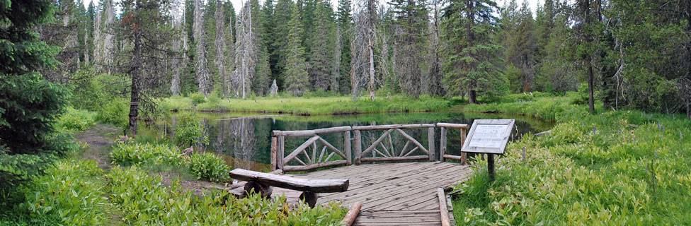 Little Crater Lake, Mt. Hood National Forest, Oregon