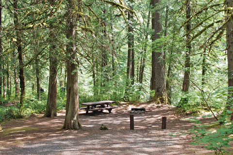 Lockaby Campground, Mt. Hood National Forest, Oregon