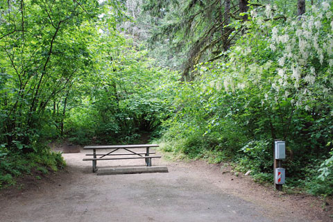 Milo McIver State Park Campground, Clackamas County, Oregon