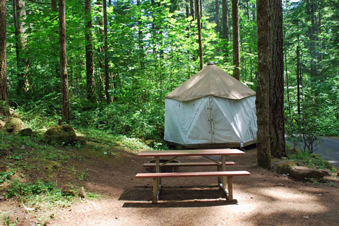 Promontory Park Campground yome, Clackamas County, Oregon
