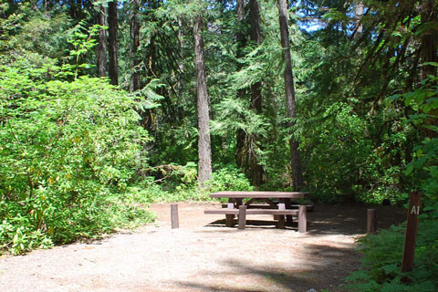 Raab Group Campground, Mount Hood National Forest, Oregon