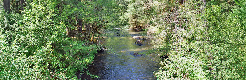 Clackamas River, Mt. Hood National Forest, Oregon