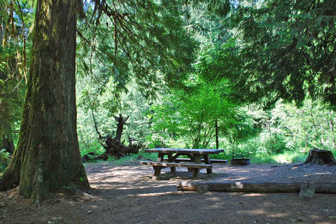 Riverside Campground, Mount Hood National Forest, Oregon