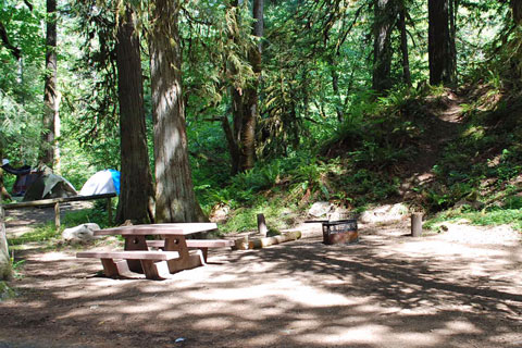 Roaring River Campground, Mount Hood National Forest, Oregon