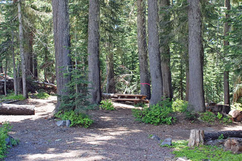 Alpine Campground, Mount Hood National Forest, Oregon