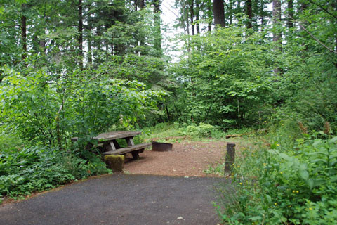 Eagle Creek Campground, Columbia River Gorge, Oregon