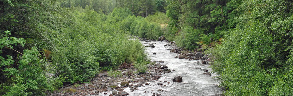 Sandy River, Mt. Hood National Forest, Oregon