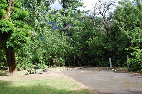 Viento State Park Campground, Columbia River Gorge, Oregon