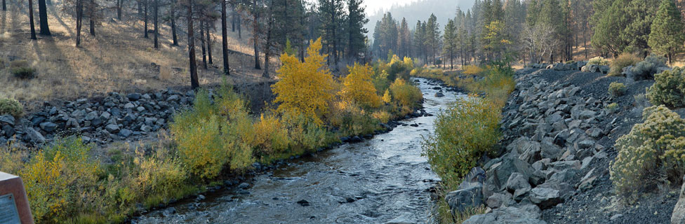 Chewaucan River, Chewaucan Crossing Campground, Fremont-Winema  National Forest, Oregon