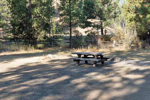 Dairy Point Campground, Oregon