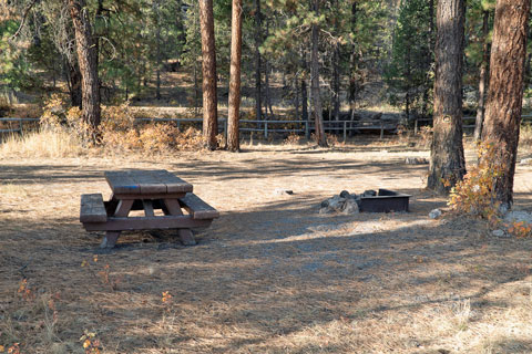 Dairy Point Campground, Oregon