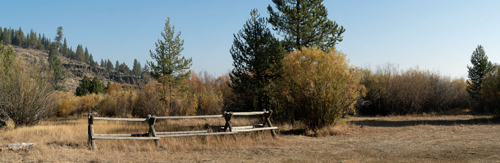 Dairy Point Campground, Fremont-Winema  National Forest, Oregon